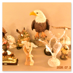 Enchanted Estate Sales 612 Hood Rd. Se. Rio Rancho NM starting July 29 - August 1 2026 10 am - 2 pm