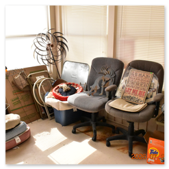 Enchanted Estate Sales 612 Hood Rd. Se. Rio Rancho NM starting July 29 - August 1 2026 10 am - 2 pm